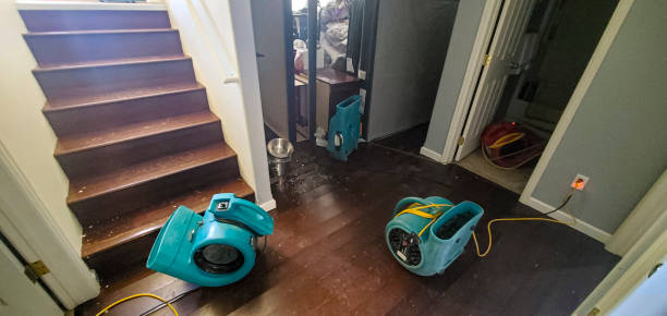 Best Flooded house restoration  in Bayard, NM