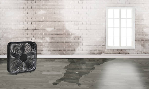 Best Fire Damage Restoration  in Bayard, NM