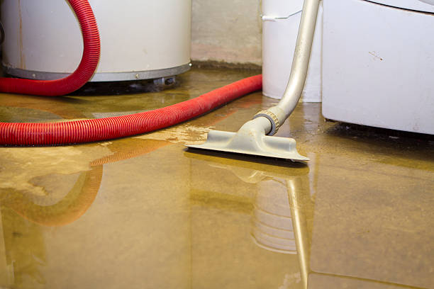Best Water damage restoration company  in Bayard, NM