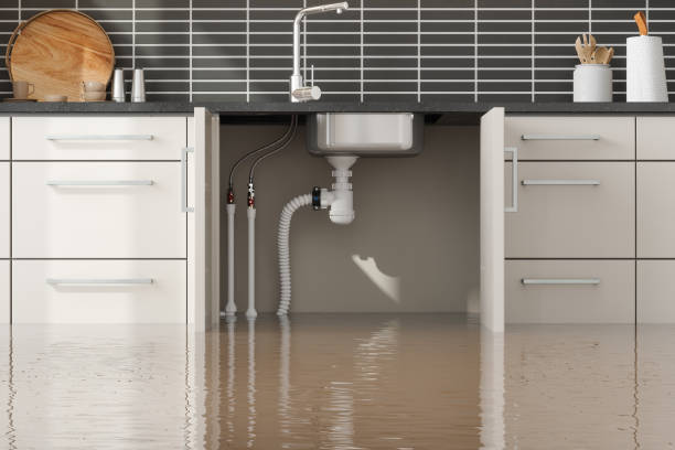 Best Commercial water damage restoration  in Bayard, NM