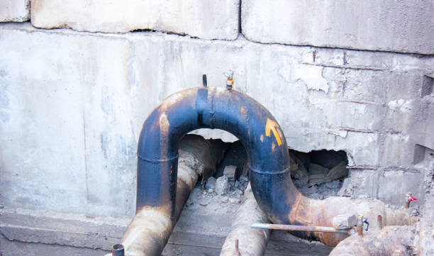 Best Water damage restoration near me  in Bayard, NM